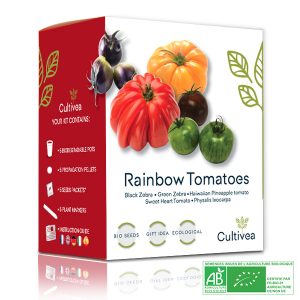 Photo présentation Mini Tomates